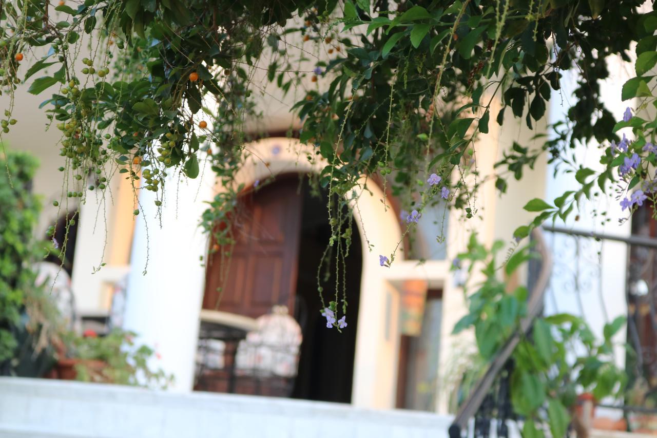 Meryem'S Hotel Agios Epiktitos Екстер'єр фото